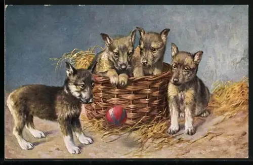 Künstler-AK Hundewelpen mit Ball