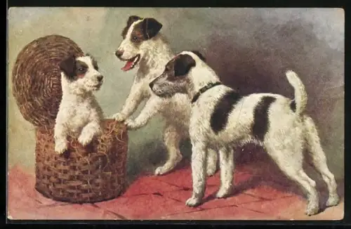 AK Drei junge Terrier und ein Spankorb mit Stroh