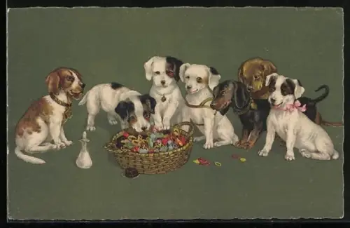 AK Sieben Hundewelpen und ein Körbchen mit Naschwerk