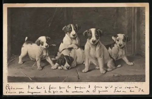 AK Fünf Hundewelpen in einem Stall
