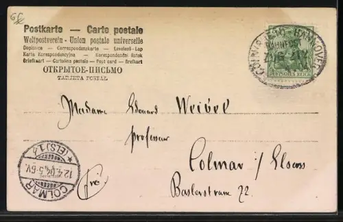 AK Fünf Hundewelpen in einem Stall