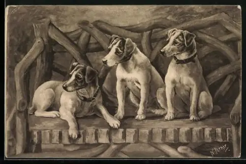 AK Drei junge Hunde auf einer Gartenbank
