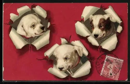 Präge-AK Drei Hundeköpfe in durchstossenem Papier