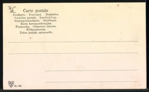 AK Münsterländer, Portrait von der Seite