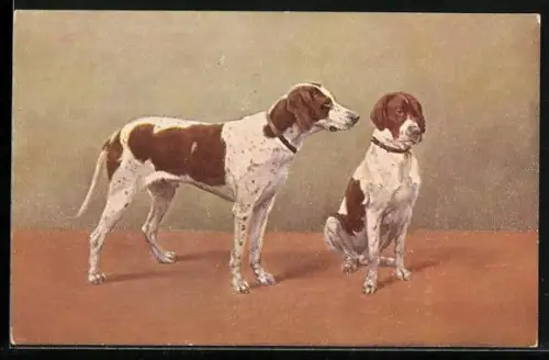 AK Zwei Jagdhunde in Wartestellung