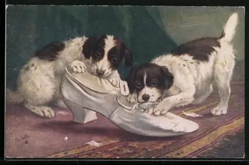 AK Zwei junge Hunde knabbern an einem Damenschuh