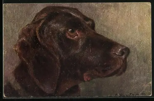 Künstler-AK ein Jagdhund