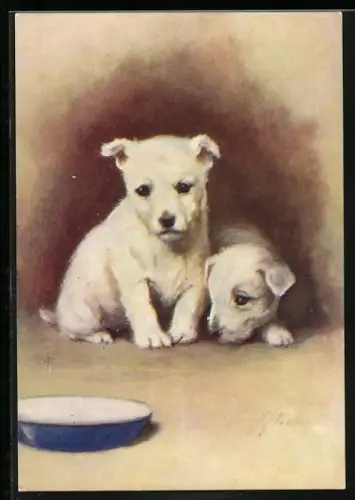 AK The West Highland White Terrier, Portrait