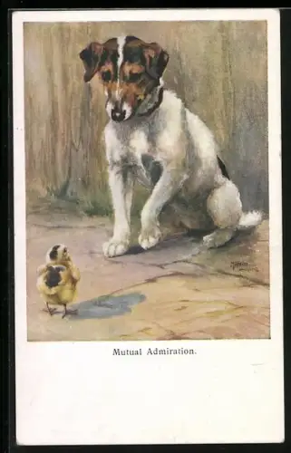 AK Mutual Admiration, Hund und Küken