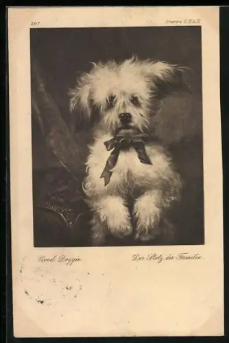AK Der Stolz der Familie, Terrier mit Schleife, Portrait