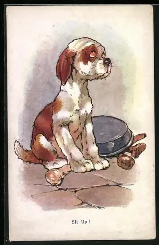 AK Sit Up!, Junger Hund mit umgeworfener Knochenschüssel