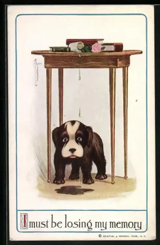 AK Kleiner Hund wundert sich über eine Pfütze