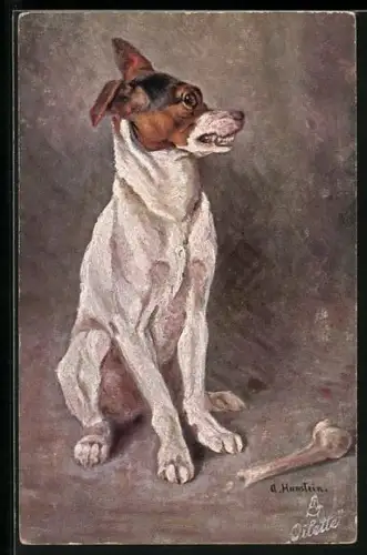 AK Glatthaar-Foxterrier mit angenagtem Knochen