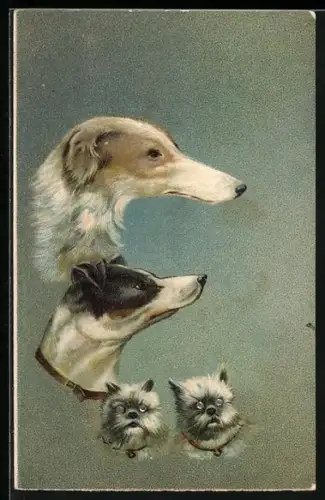 AK Zwei Windhunde von der Seite, Katzen mit Glitzeraugen