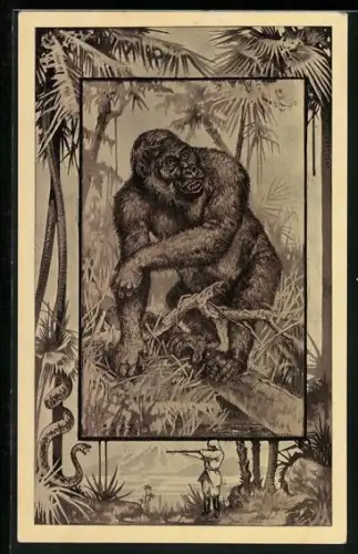 AK Gorilla im Freien, Jäger schiesst auf Schlange an einer Palme