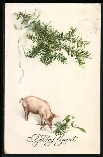 Künstler-AK M. Munk Nr. 671: Neujahrsgruss mit Glücksschwein und Tannenzweig