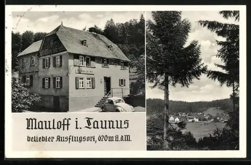 AK Mauloff i. Taunus, Gasthaus Zur Rose, Bes. Emil Scheid