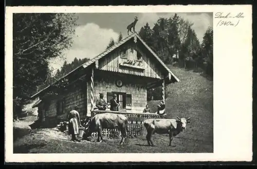 AK Lenggries a. d. Isar, Denkalm, Almhütte, Kühe, Gebirgslandschaft