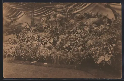 AK Gand, Floralies Gantoises de 1928, Palmengewächse