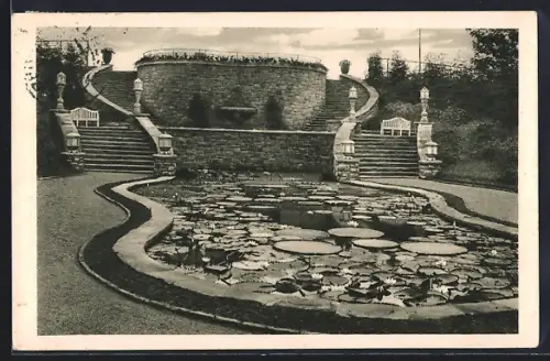 AK Essen, Victoria-Regia-Becken, Grosse Ruhrländische Garten-Ausstellung 1929, Staudenlichtung