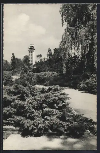 AK Essen, GRUGA, Botanischer Garten mit Aussichtsturm
