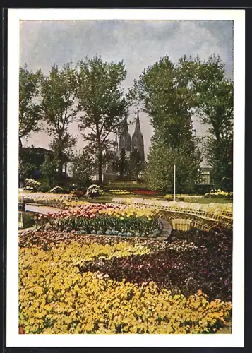 AK Köln, Bundesgartenschau 1957, Ruheplatz am Tanzbrunnen