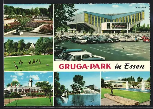 AK Essen, Gruga-Park, Blumenbeete, Gruga-Halle, Konzertbühne