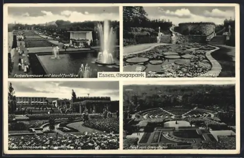 AK Essen, Grugapark, Farbenterrassen, Blick vom Grugaturm