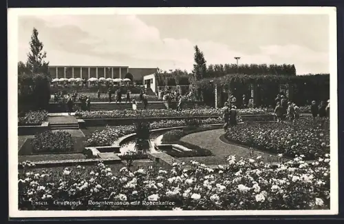 AK Essen, Grugapark, Rosenterrassen mit Rosenkaffee