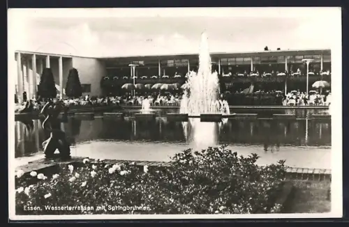 AK Essen, Grugapark, Wasserterrassen mit Springbrunen