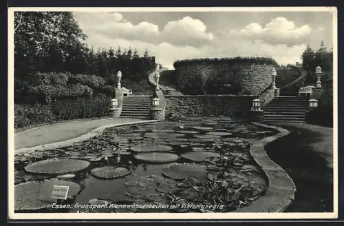 AK Essen, Grugapark, Wamwasserbecken mit Victoriaregia