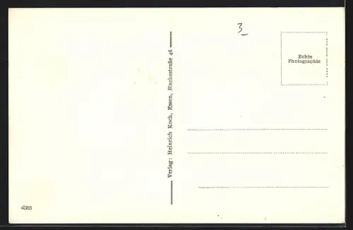 AK Essen, Grugapark, Dahlien-Arena aus der Vogelschau