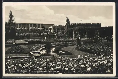 AK Essen, Ausstellung Gruga, Grugapark, Rosenterrassen mit Rosencafè