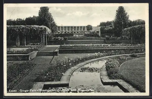 AK Essen, Grugapark, Rosengarten mit Rosenkaffee
