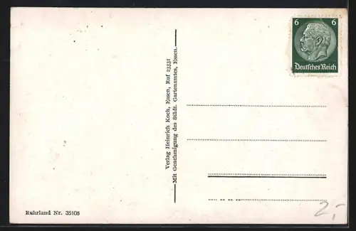 AK Essen, Grugapark, Rosengarten mit Rosenkaffee