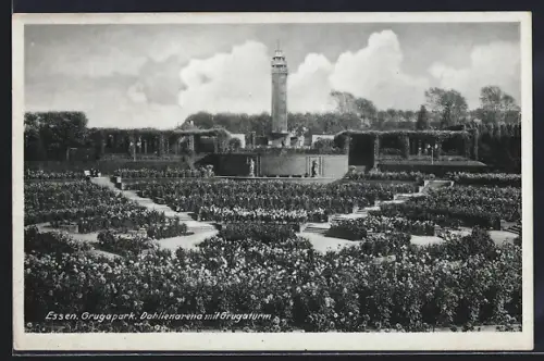 AK Essen, Grugapark, Dahlienarena mit Grugaturm aus der Vogelschau