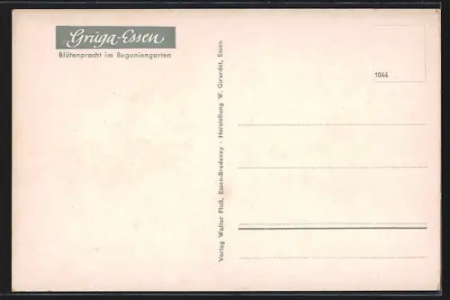 AK Essen, Grugapark, Begoniengarten mit Skulpturenmauer u. Turm