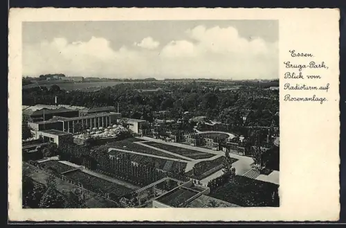 AK Essen, Grugapark, Rosenanlage vom Radioturm aus