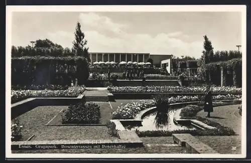 AK Essen, Grugapark, Rosenterrassen mit Rosen-Kaffee