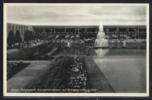 AK Essen, Grugapark, Wasserterrassen mit Terrassen-Gaststätte aus der Vogelschau