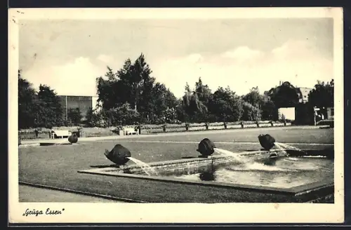 AK Essen, Grugapark, Karpfen-Wasserspeier