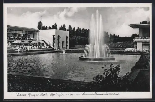 AK Essen, Grugapark, Springbrunnen und Sommerblumenterrasse