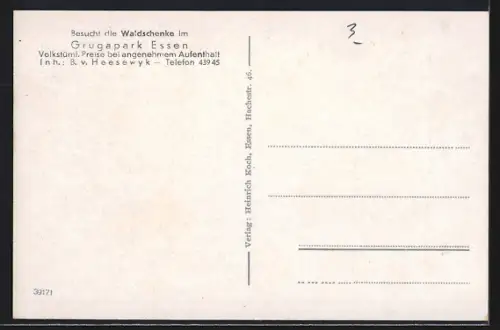 AK Essen, Grugapark, Springbrunnen und Sommerblumenterrasse