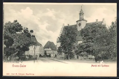 AK Gross-Salze, Markt mit Rathaus