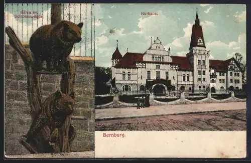 AK Bernburg, Kurhaus, Bären im Schlosszwinger