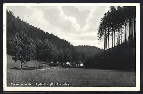 AK Schwarzenbach a. Wald, Dorschenmühle i. Rodachtal