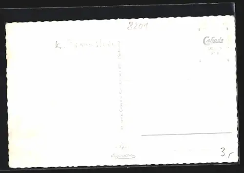 AK Obing /Obb., Ortspanorama von einem Bootssteg aus