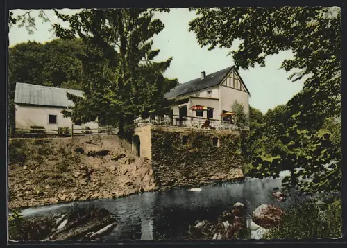 AK Wittlich /Mosel, Alte Pleiner Mühle