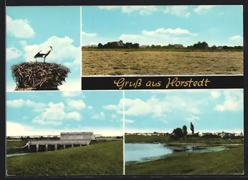 AK Horstedt / Rotenburg, Staudamm, Storchennest, Teich