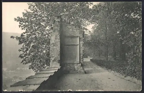 AK Heidelberg / Neckar, Goethe`s Lieblingsplatz